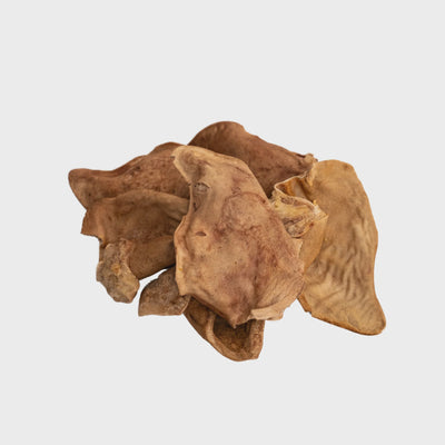 Momentum Pig Ear Without Hair 1CT