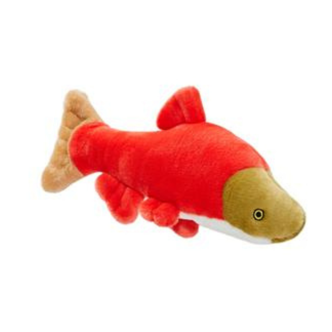Cedar Salmon