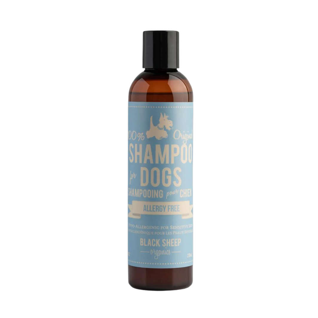 Black Sheep Organics Dog Shampoo