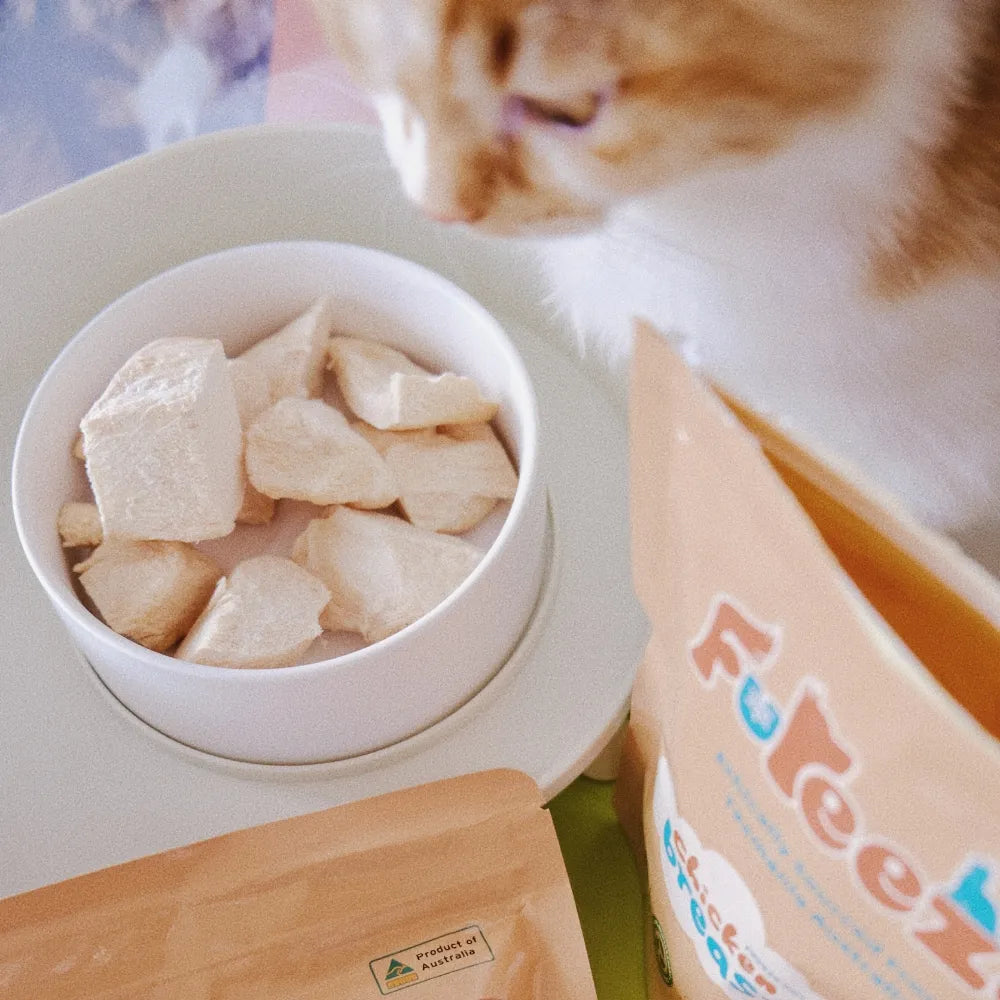 Freeze Dried Free Range Chicken Breast 100g