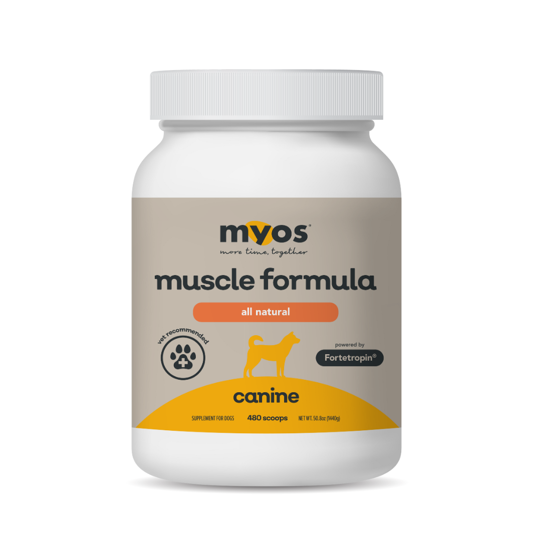 Canine Muscle Formula