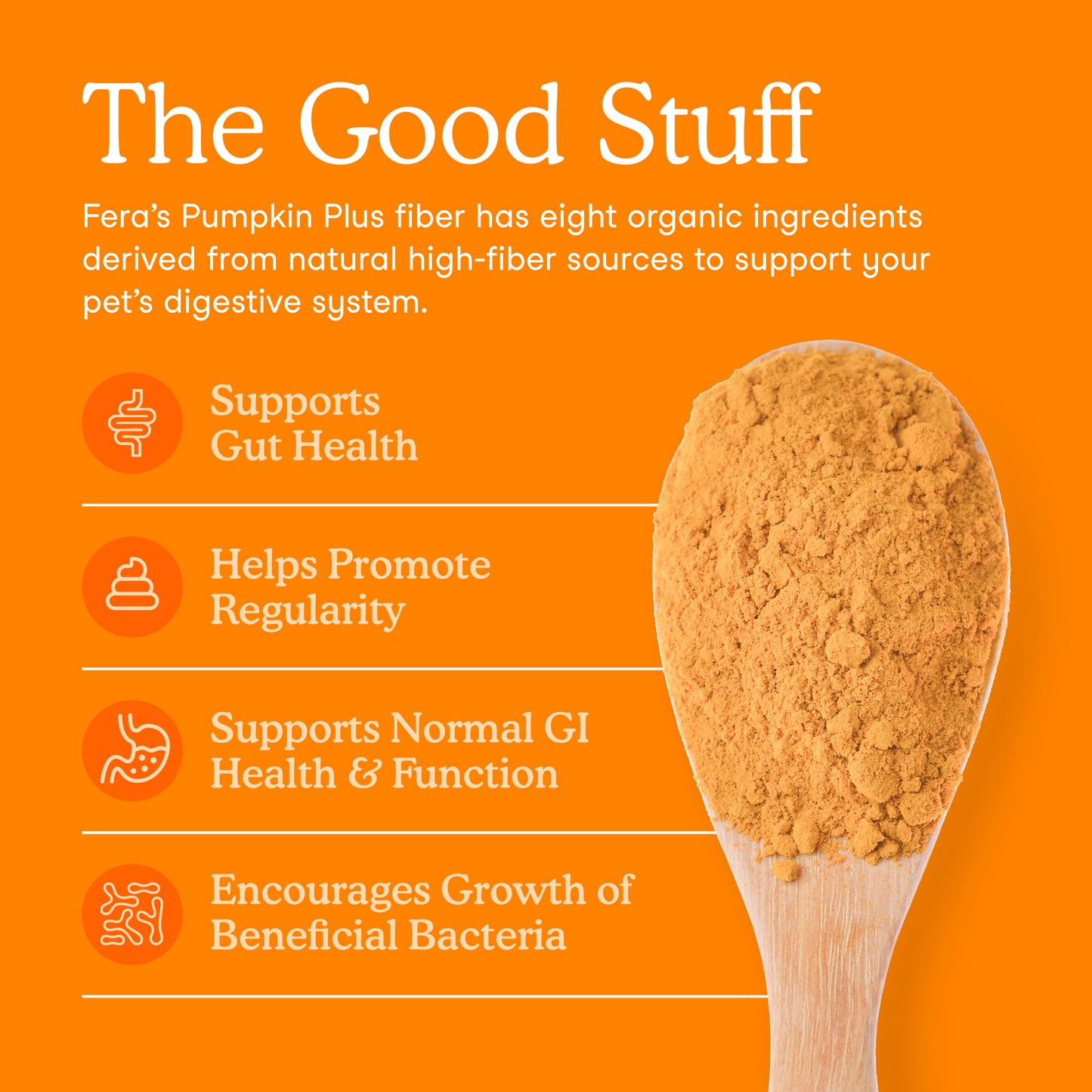 Fera Pumpkin Plus Fiber Support for Dogs and Cats