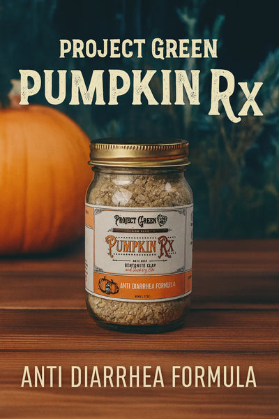 Project Sudz PumpkinRX 9oz