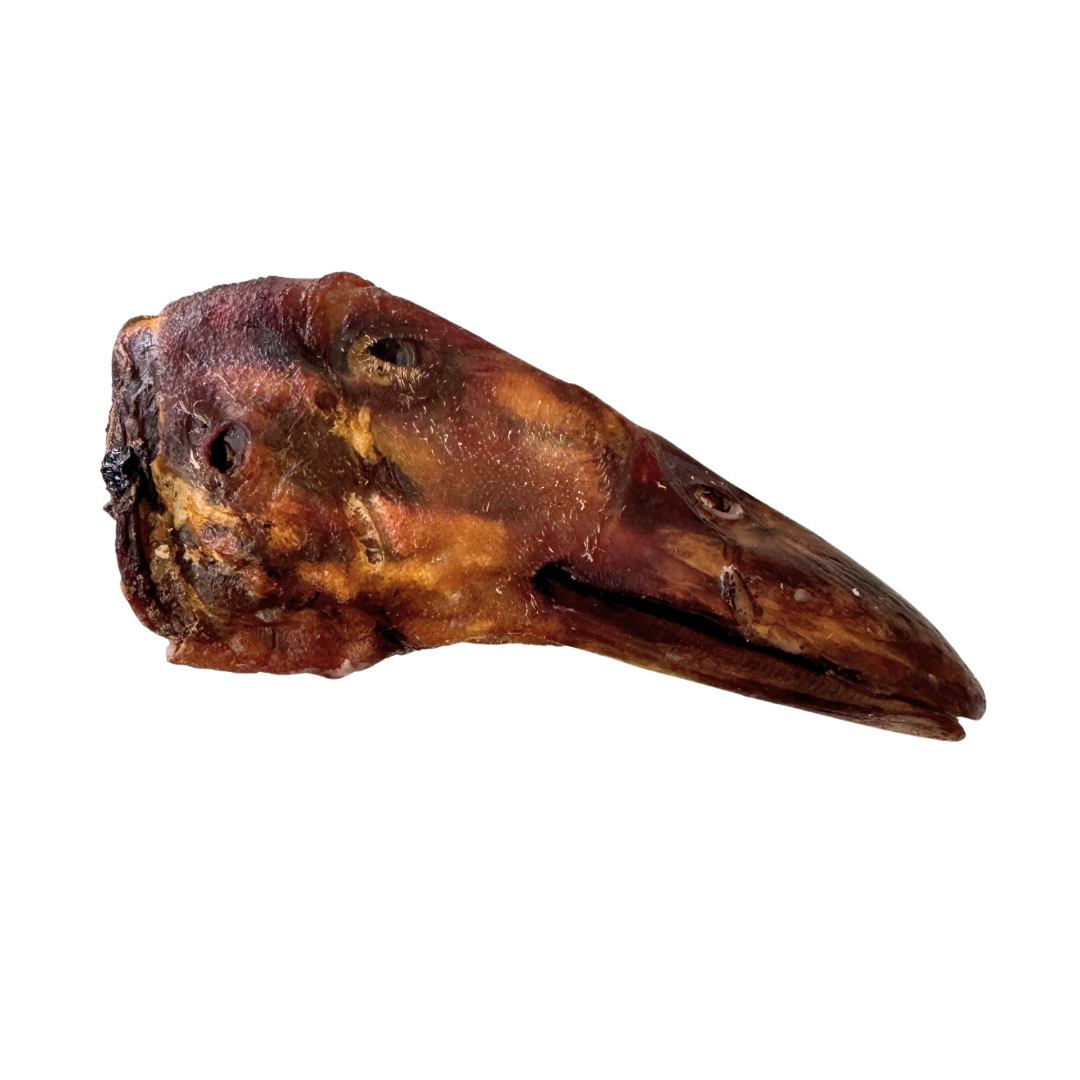 Duck Head 1ct