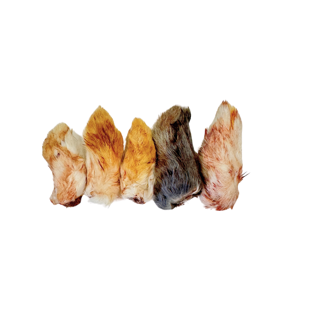 Rabbit Tap Rabbit Paws 5ct