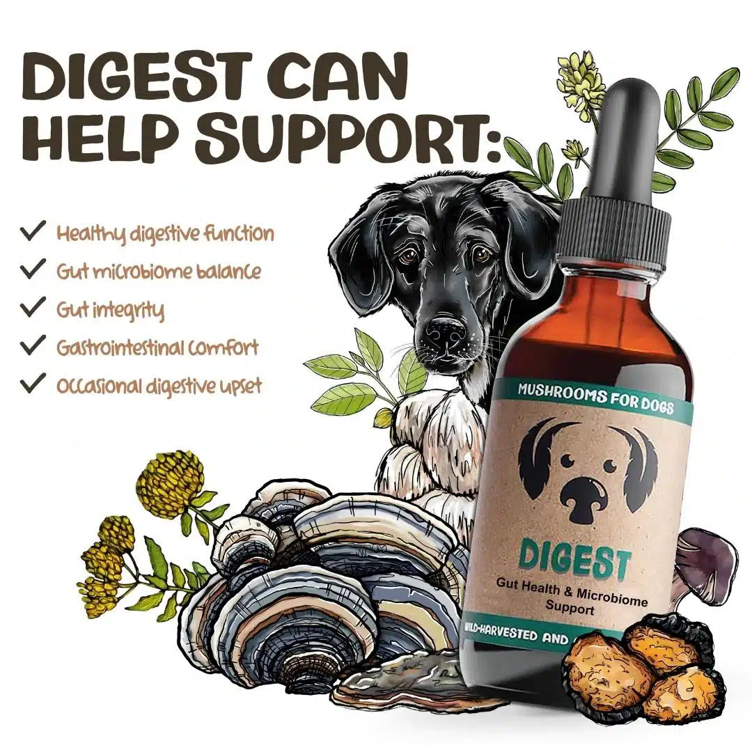 MycoDog Digest: Digestive Health