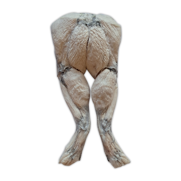 B&C FD Frog Leg 1CT