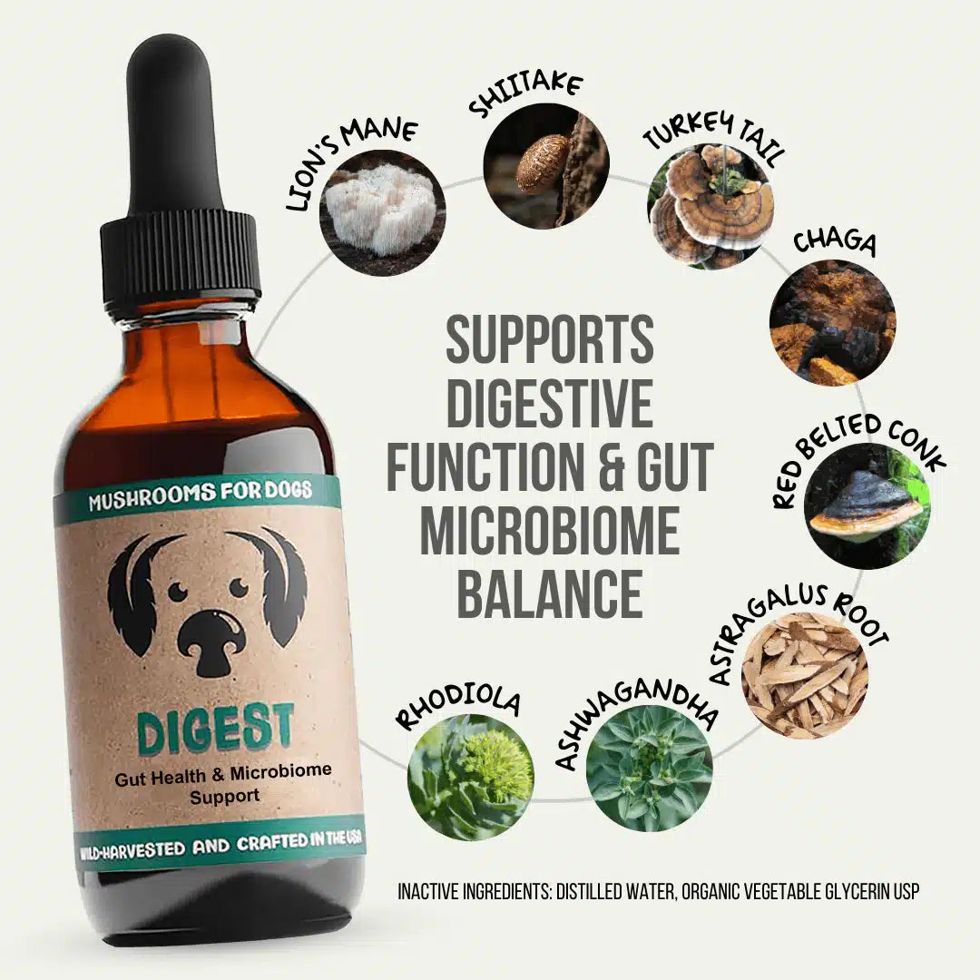 MycoDog Digest: Digestive Health