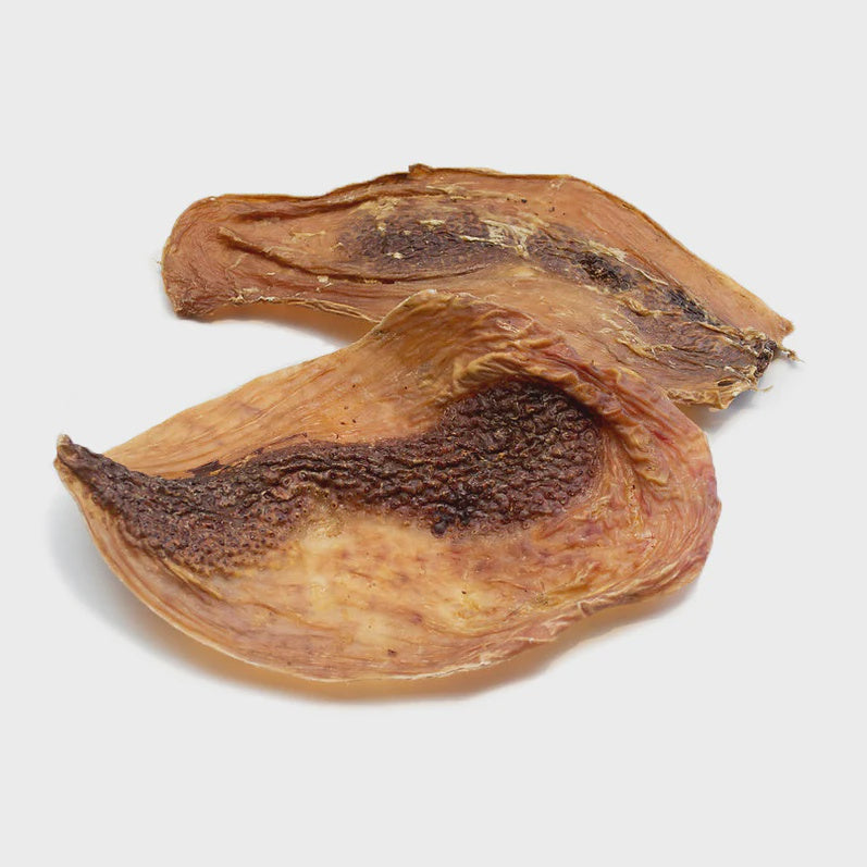 Tuesday's Ostrich Gizzard 1CT