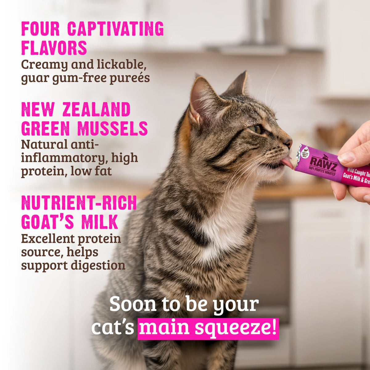 Rawz Cat Lickable Tuna Salmon Goat Milk Green Mussels Treat 1.6oz 4ct