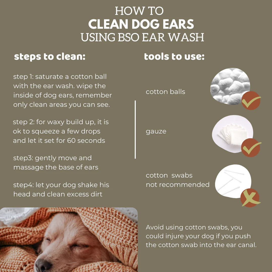 Black Sheep Organics Rosemary & Niaouli Dog Ear Wash 4oz
