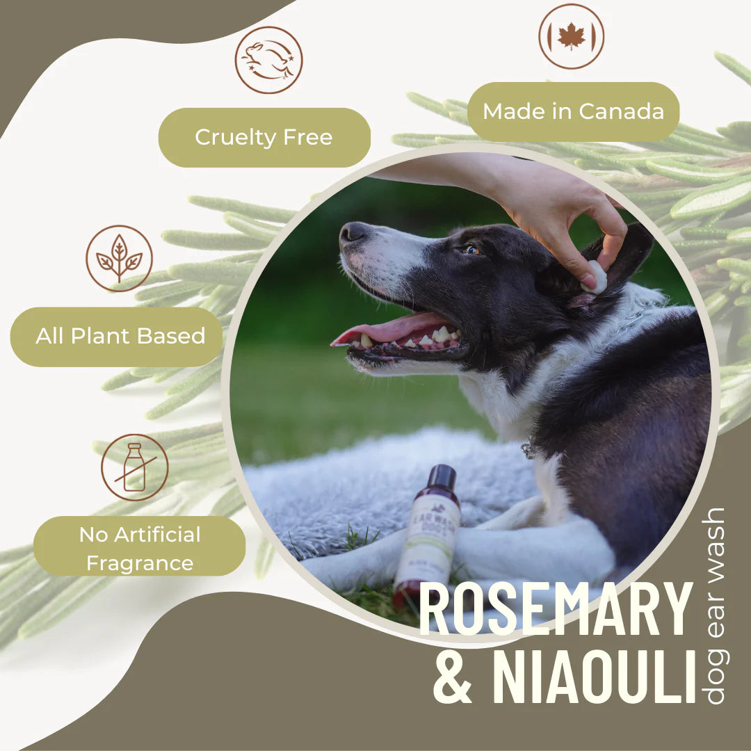 Black Sheep Organics Rosemary & Niaouli Dog Ear Wash 4oz