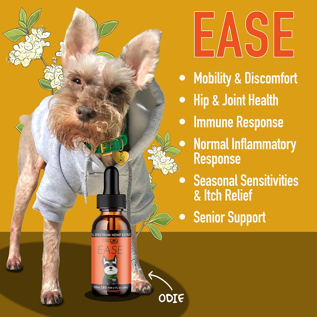 CBD Dog EASE: Mobility & Itchy Dogs-Original Strength