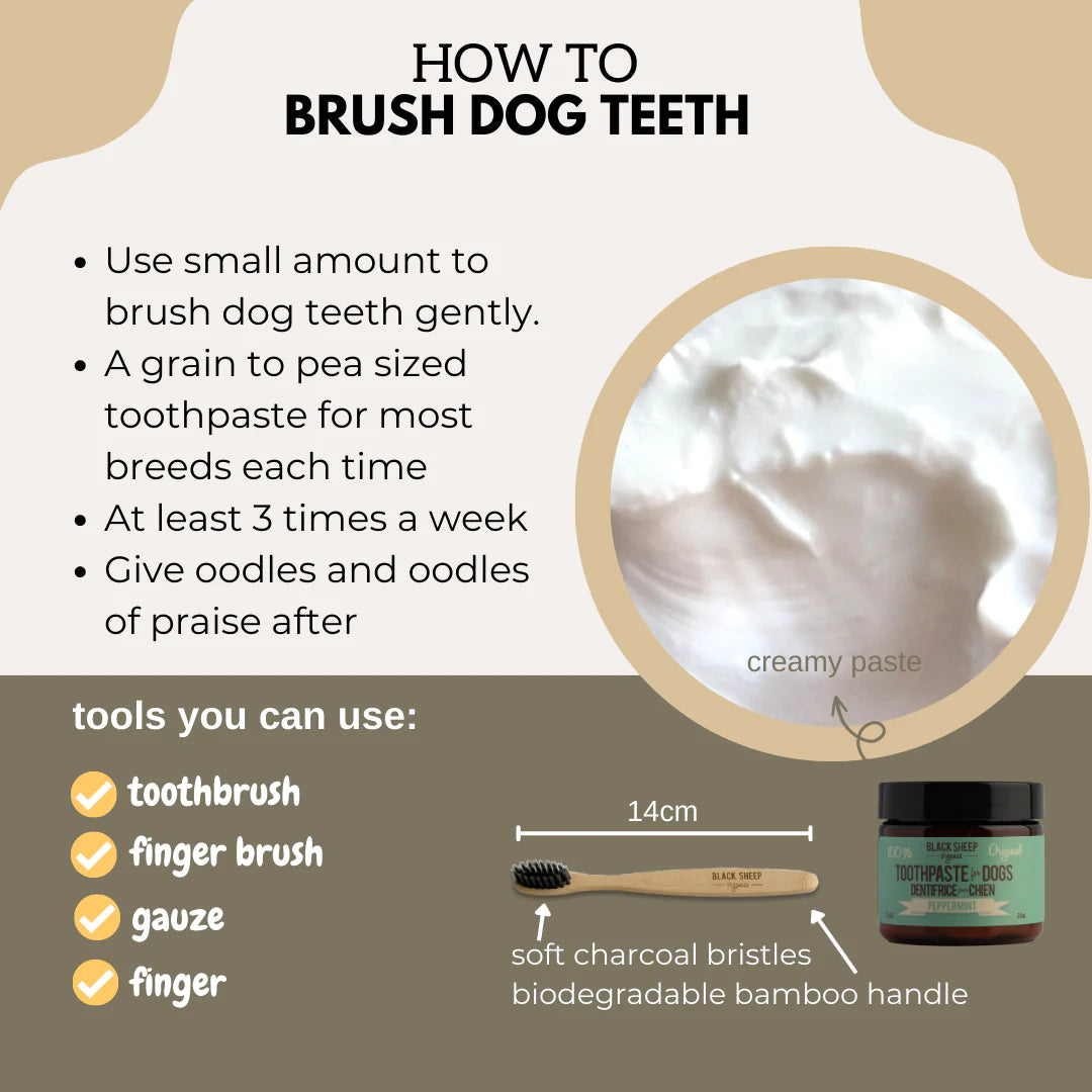 Black Sheep Bamboo Toothbrush