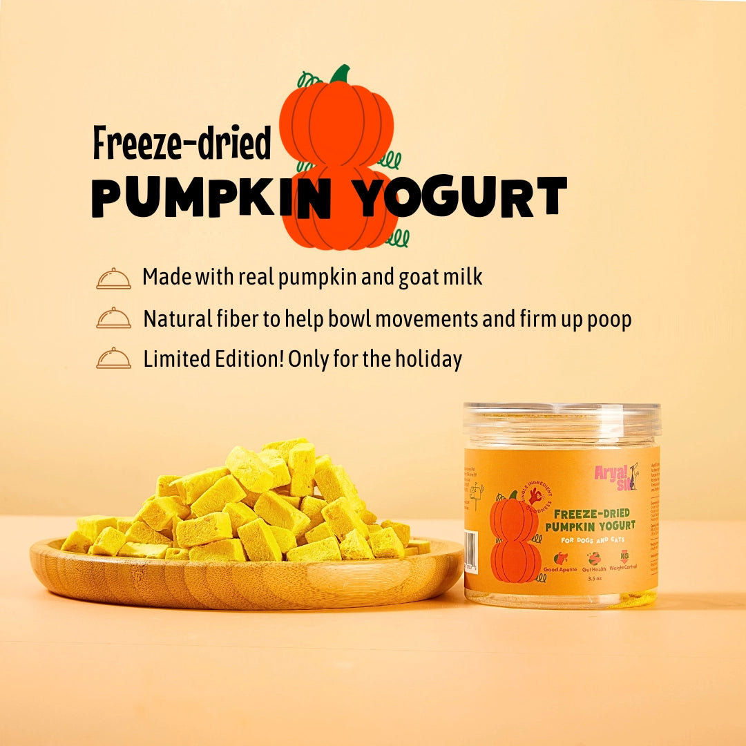 Freeze-Dried Pumpkin Yogurt 3.5oz