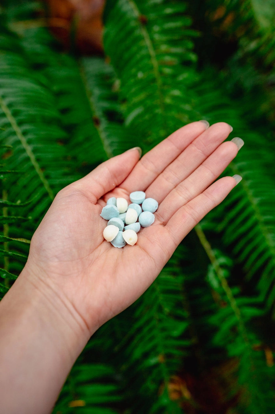 Love Liparu Egg and Goat Milk  Freeze-Dried Dog + Cat Treat  *Holiday Edition*