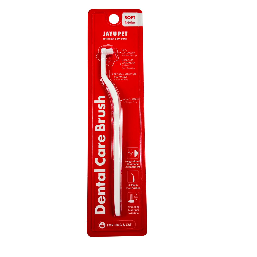 Dental Care Brush