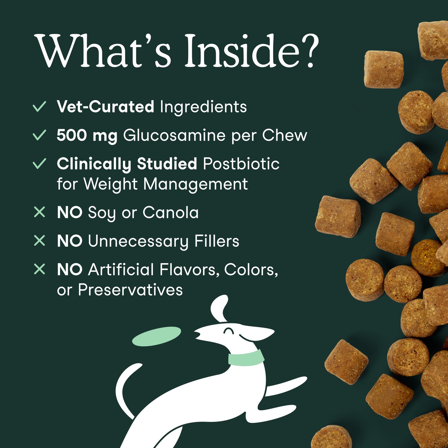 Fera Hip + Joint Support for Dogs 11.9oz