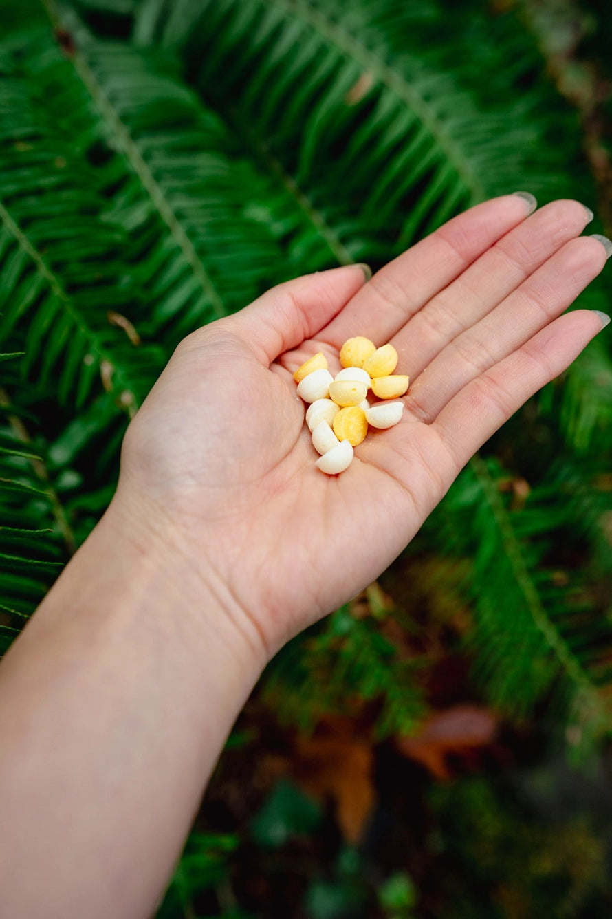 Love Liparu Egg and Goat Milk  Freeze-Dried Dog + Cat Treat  *Holiday Edition*