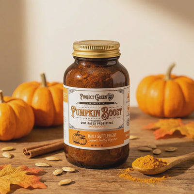 Project Sudz  Pumpkin Boost 8oz