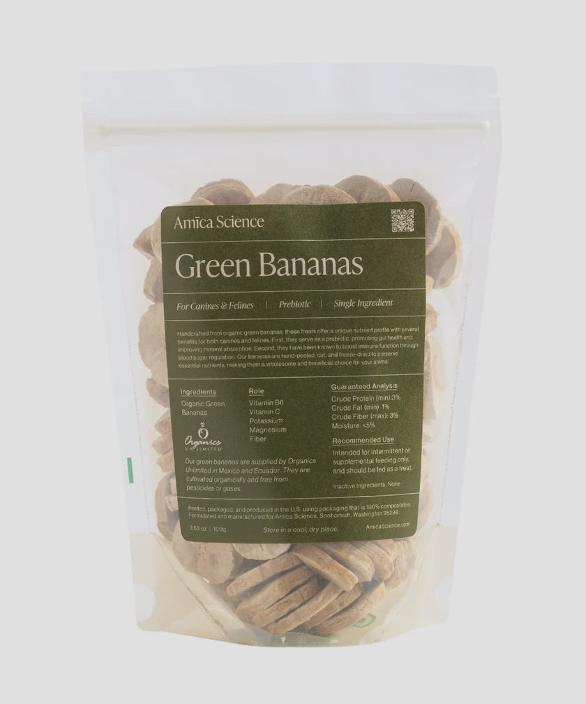 Amica Science Freeze Dried Green Bananas-100g