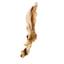 Perla Rabbit Ear 1ct