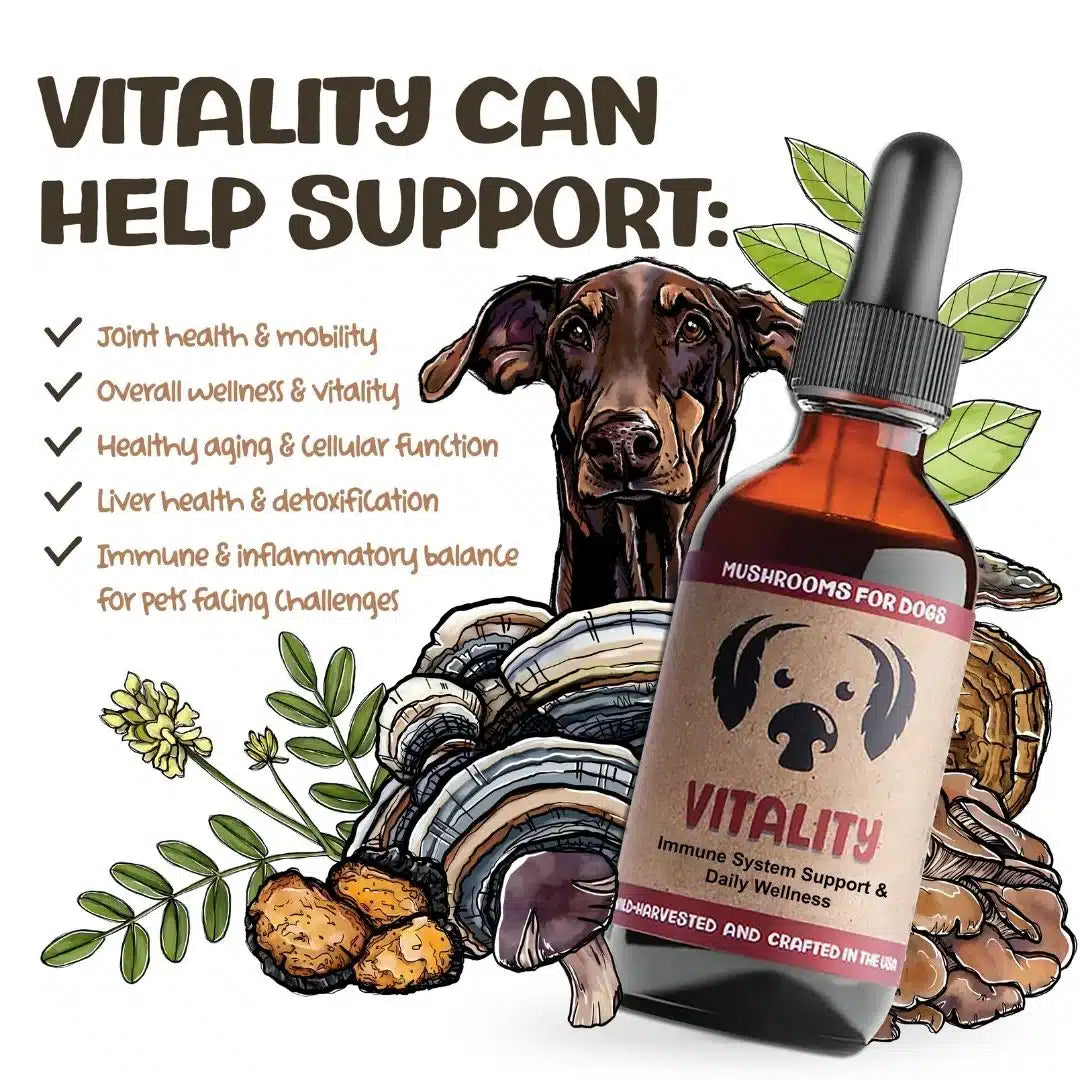 MycoDog Vitality: Immune & Overall Health