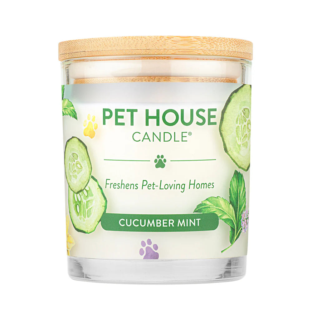 Pet House Candle Large