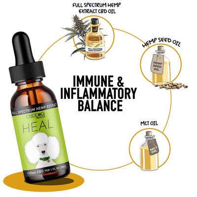 CBD Dog HEAL: Immune & Inflammatory Balance for Dogs