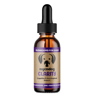 MycoDog Clarity: Cognitive & Neurological Support