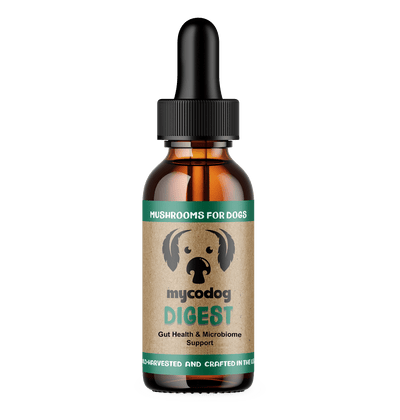 MycoDog Digest: Digestive Health