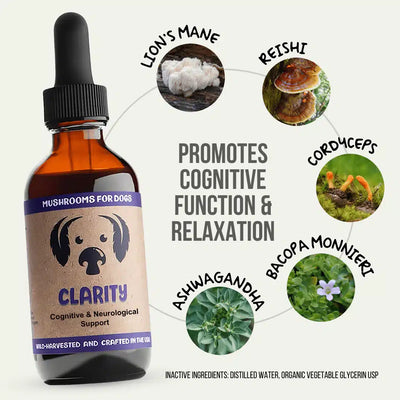 MycoDog Clarity: Cognitive & Neurological Support