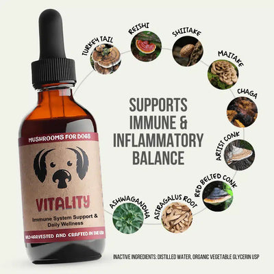 MycoDog Vitality: Immune & Overall Health