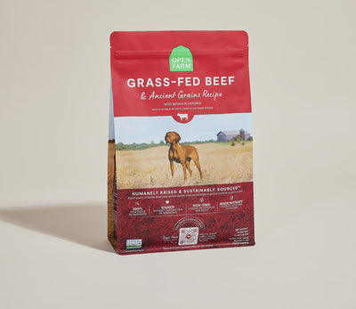 Open Farm Grass-Fed Beef & Ancient Grains Dry Dog Food - 4lb