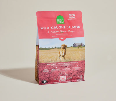 Open Farm Wild Caught Salmon & Ancient Grains Dry Dog Food - 4 lb