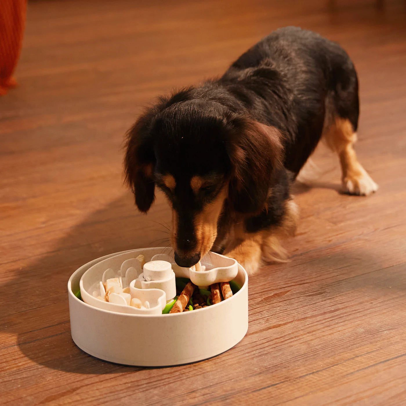 Puzzle Feeder Lite / Dog Bowl for Eating Habit Training for S/M Breeds