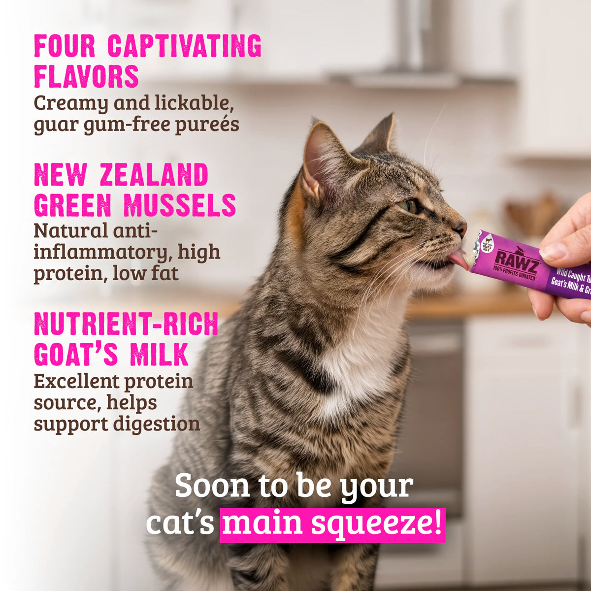Rawz Cat Lickable Tuna Scallops Goat Milk Green Mussels Treat 1.6oz 4ct