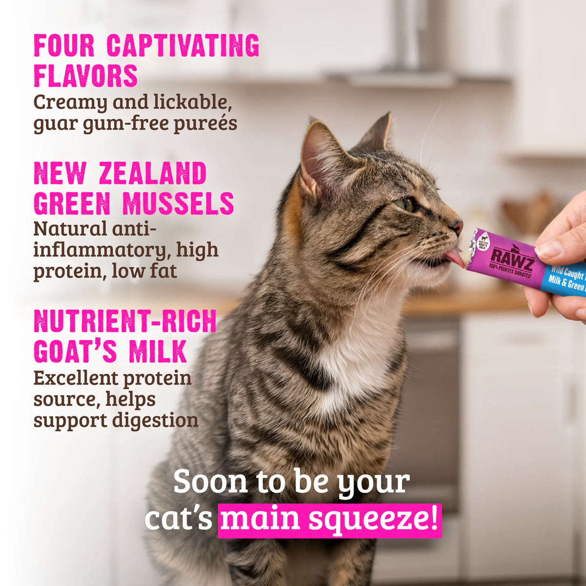Rawz Cat Lickable Tuna Goat Milk Green Mussels Treat 1.6oz 4ct