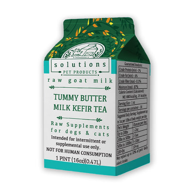 Solutions Tummy Butter Kefir Tea 16oz