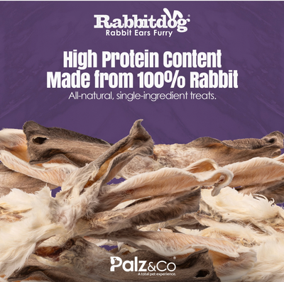 Rabbit Ear 1CT