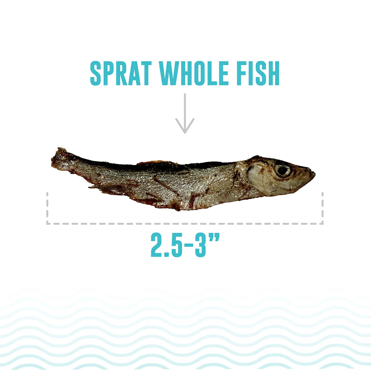 Icelandic Dog Sprats Whole Fish 2oz