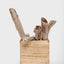 Wild Nosh  Freeze-Dried Bison Bully Stick - Multiple Sizes