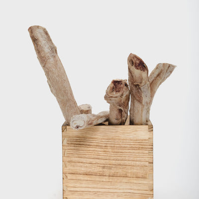 Wild Nosh  Freeze-Dried Bison Bully Stick - Multiple Sizes