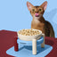 Mist and Merlot Pet Bowl & Mat Set