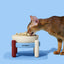 Mist and Merlot Pet Bowl & Mat Set