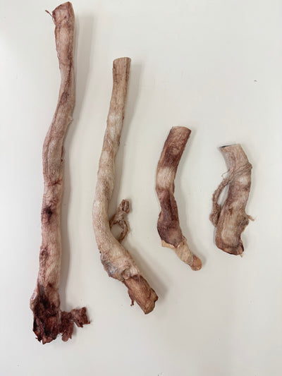 Wild Nosh  Freeze-Dried Bison Bully Stick - Multiple Sizes