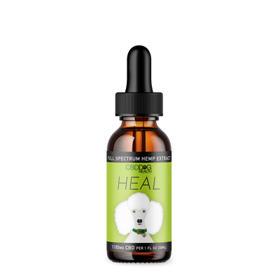 CBD Dog HEAL: Immune & Inflammatory Balance for Dogs