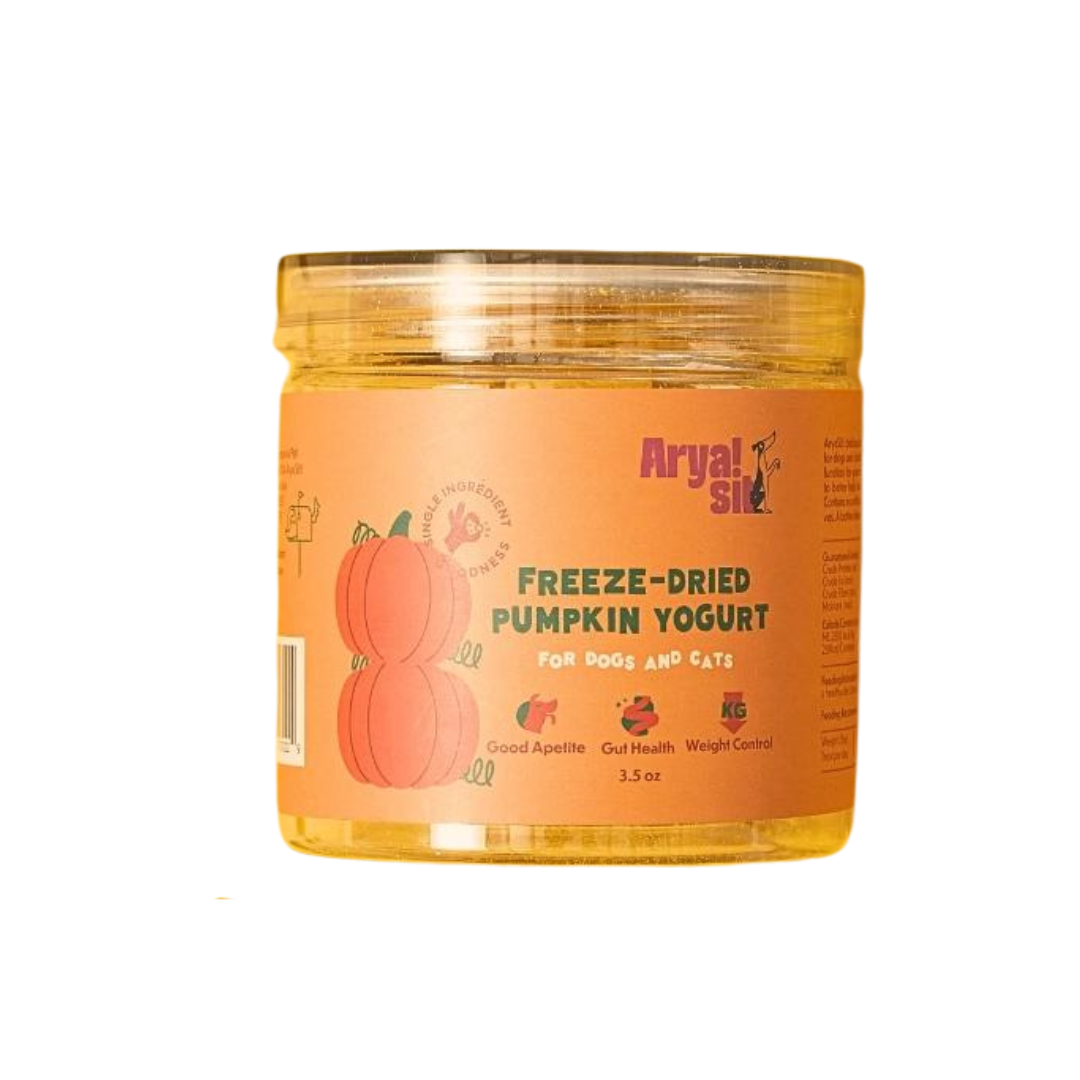 Freeze-Dried Pumpkin Yogurt 3.5oz