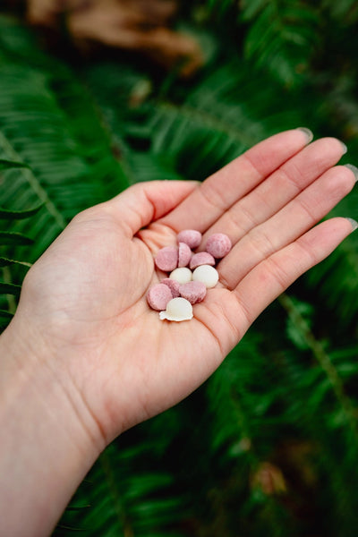 Love Liparu Egg and Goat Milk  Freeze-Dried Dog + Cat Treat  *Holiday Edition*