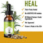 CBD Dog HEAL: Immune & Inflammatory Balance for Dogs